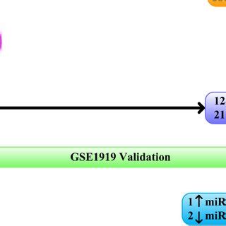 Schematic Representation Of The Next Generation Sequencing Data