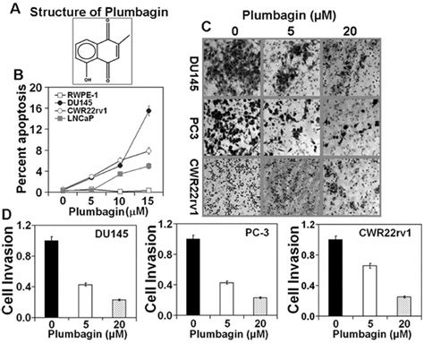 Plumbagin Induces Apoptosis And Inhibits Cells Invasion In Prostate