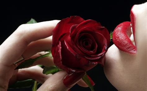 Red Rose And Red Lips Wallpapers Hd Wallpapers Id 6455