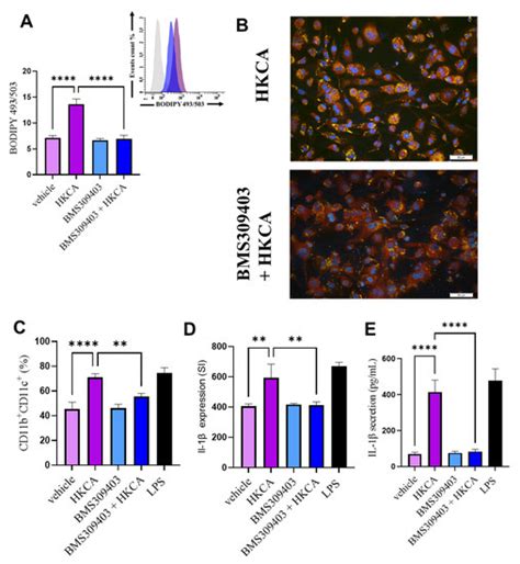 Biomedicines Special Issue Macrophages In Health And Non Infectious