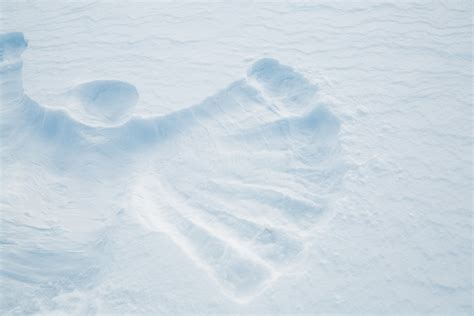 Snow Angel Free Stock Photo - Public Domain Pictures