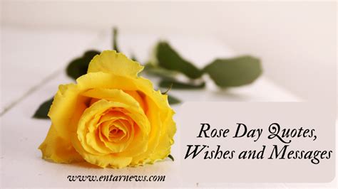 Rose Day Quotes, Wishes And Messages | Entarnews