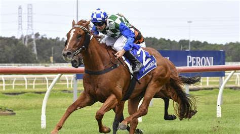 Randwick Newcastle Previews Patience Paying Off With Winston Hills