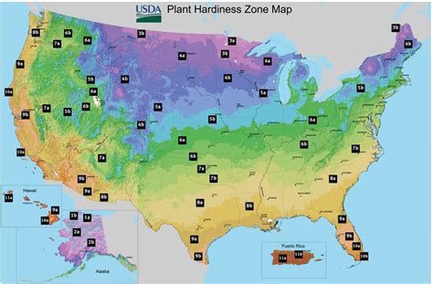 Hardiness Zones in the USA