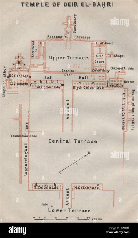 Hatshepsut Temple Plan