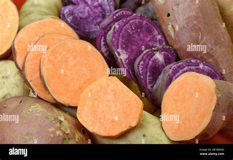 Sweet Potatoes Ipomoea Batatas Batata Potato Stock Photo Alamy