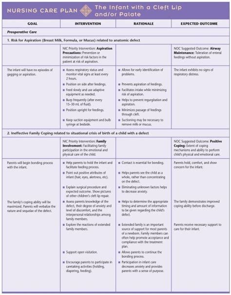 590 NURSING CARE PLAN The Infant with a Cleft Lip and/or Palate