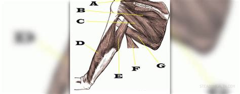 Focal dystonia causes | Musculoskeletal Issues articles | Body & Health ...