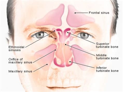 Acupuncture For Sinusitis Reading Ma Patch