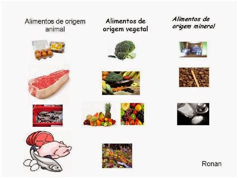 Atividades Sobre Origem Dos Alimentos - ZULEDU