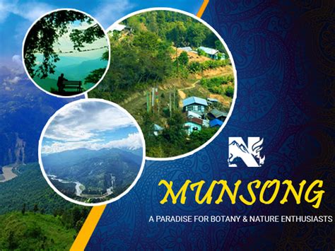 Munsong Kalimpong Munsong Jalsa Bungalow Tourist Attractions Of Munsong