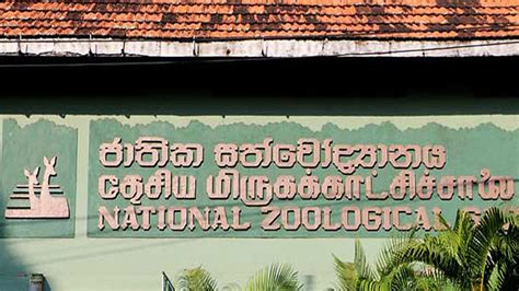 Free entrance to Dehiwala Zoo on July 3 for children under 12-years of ...