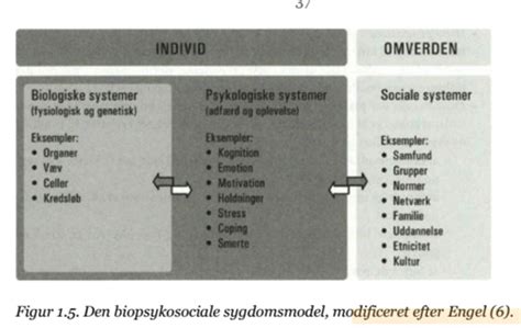 Sundhedspsykologi Modeller Flashcards Quizlet