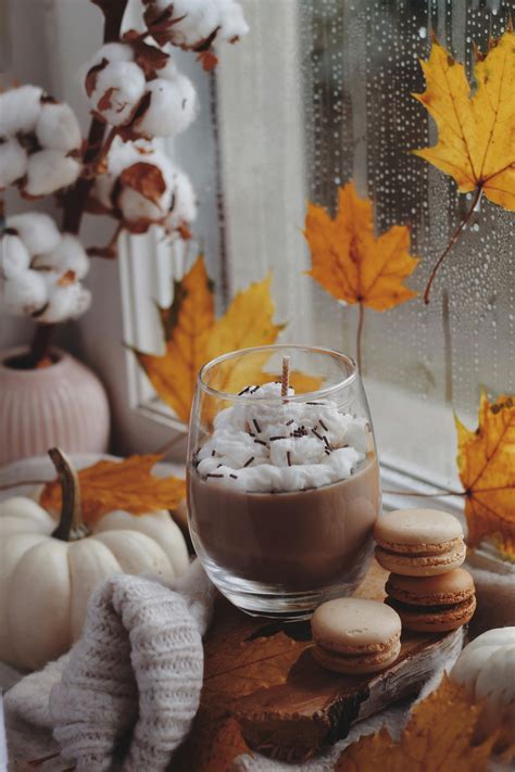 Autumn Window Decoration · Free Stock Photo