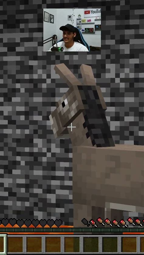 Saved Donkey From Lava 🥵 Minecraft Emotional Technogamerz Youtube