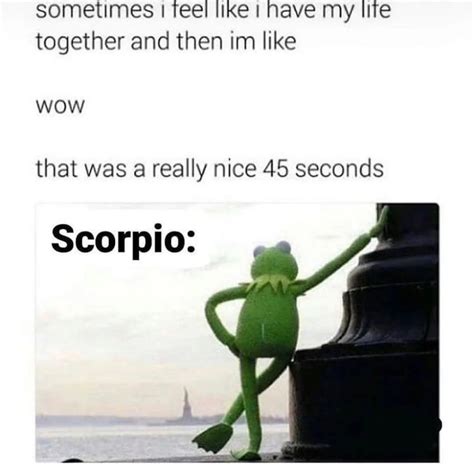 Zodiac Memes Scorpio Memes Where Passion Runs Deep