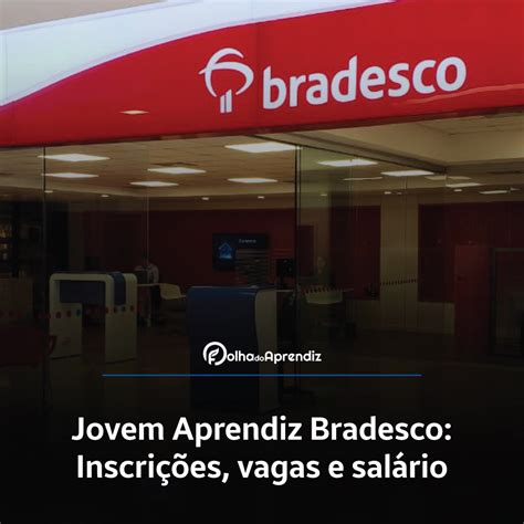 Jovem Aprendiz Bradesco 2024 Vagas E Inscrições Abertas Folha Do