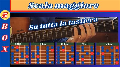 Box Scala Maggiore Chitarra Youtube