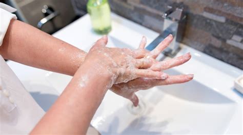 7 Steps Of Handwashing How To Wash Your Hands Properly