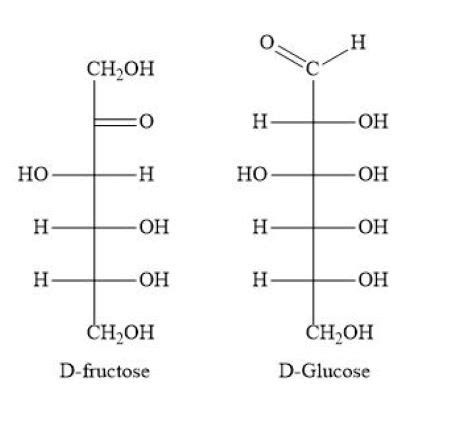 D Galactose Fischer