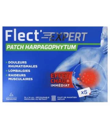 Flect Expert Patch Harpagophytum Gaulth Rie Et Arnica