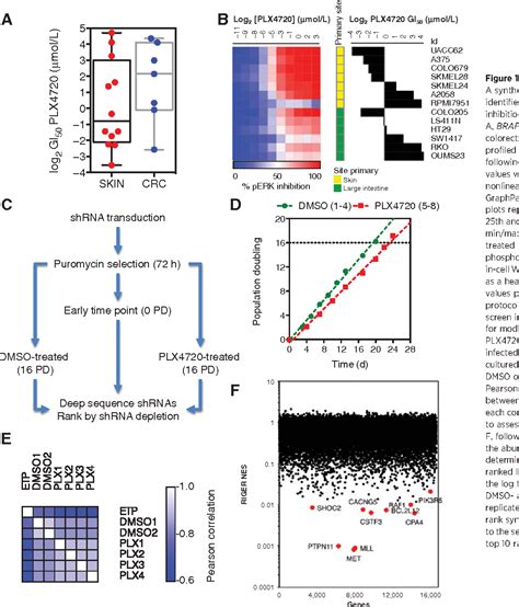 Figure From Combined Pan Raf And Mek Inhibition Overcomes Multiple