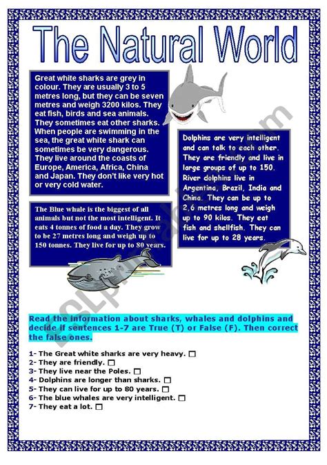 The Natural World Esl Worksheet By Pink Virginia