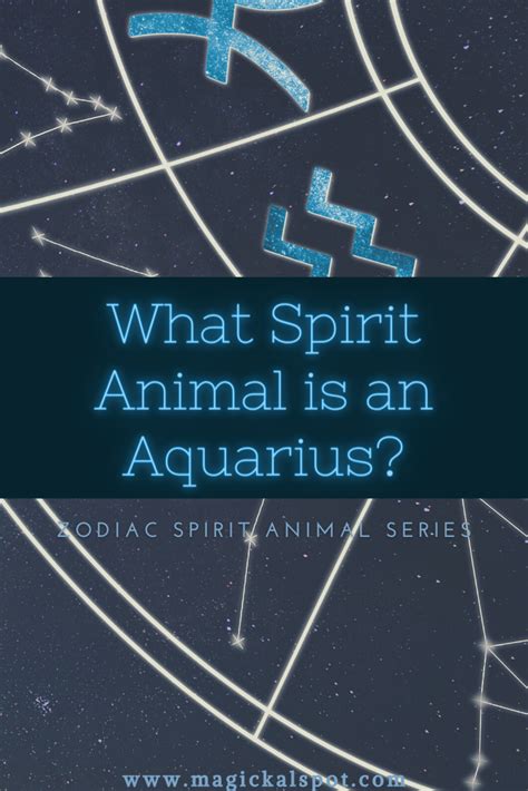 What is Aquarius’s Spirit Animal? [Zodiac Spirit Animals Series ...