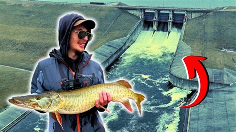 BIG Winter Musky Fishing Beneath SPILLWAY YouTube