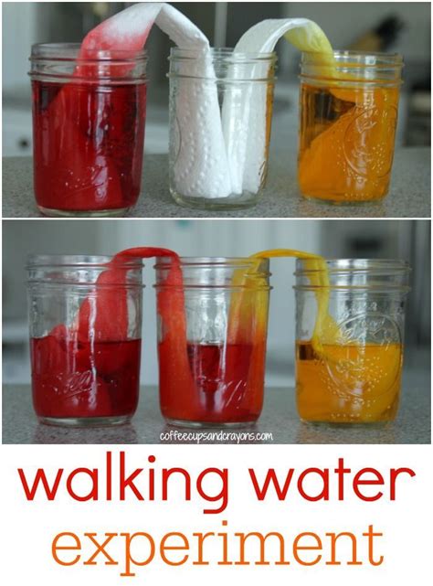 Crazy Cool Walking Water Science Experiment for Kids | Science ...