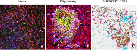 Representative MIHC IF Images Captured Through The Vectra