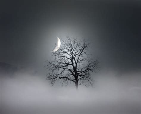 Winter Moon Fine Art Photography | Winter moon, Moon photography ...