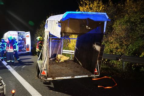 Umgest Rzter Pferdeanh Nger Auf Der Autobahn Freiwillige Feuerwehr Trumau