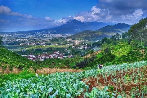 Semua Ada Wisata Alam Hingga Edukasi Lengkap Di Desa Punten Kota Batu