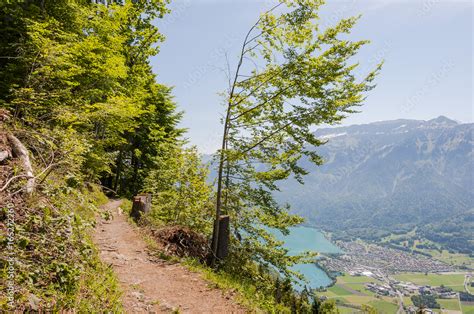 Interlaken Harder Kulm Wald Waldweg Wanderer Schutzwald