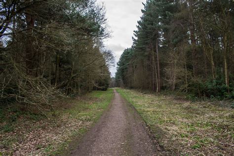 Track In Stapleford Wood J Hannan Briggs Cc By Sa Geograph