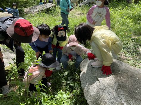 도시숲 어린이 생태학교 19기 3강 5 14 대전충남생명의숲