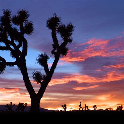 wallpapers top   backgrounds wallpaperaccess