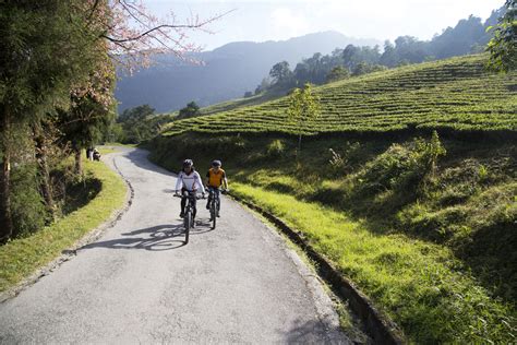 Adventure In Sikkim Paragliding Trekking Mtb Zip Line Camping