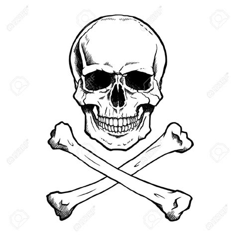 Pirate Skull Drawing at GetDrawings | Free download