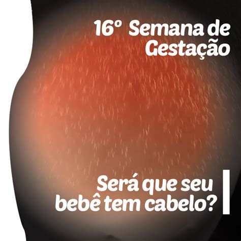 16ª Semana de Gestação Bebê 11 6cm A partir desta semana você pode