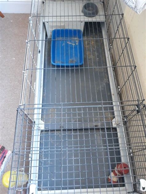 XL rabbit cage & accessories | in Brighton, East Sussex | Gumtree