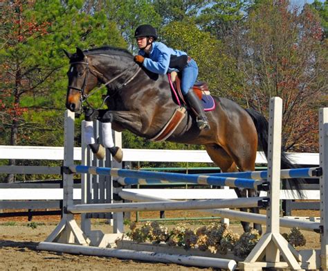 Riding Facilities | Milton, GA