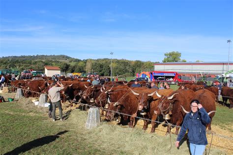 Cantal Un Comice Agricole Qui Bat Des Records Jussac