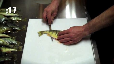 Fillet Perch In 45 Seconds Youtube