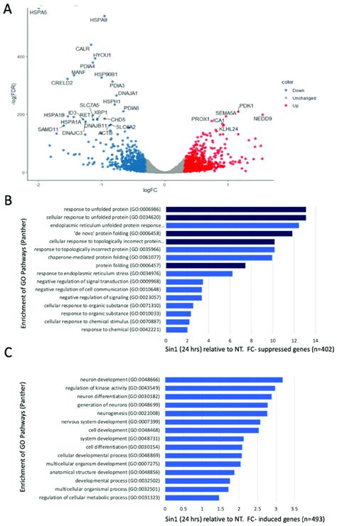 Differential Expression And Annotations Enrichment Comparing The Download Scientific Diagram