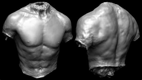 Dystopia Interactive Male Torso Models