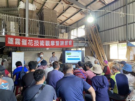 砂質地蓮霧果園應用高醣栽培法催早花成功高雄區農業改良場