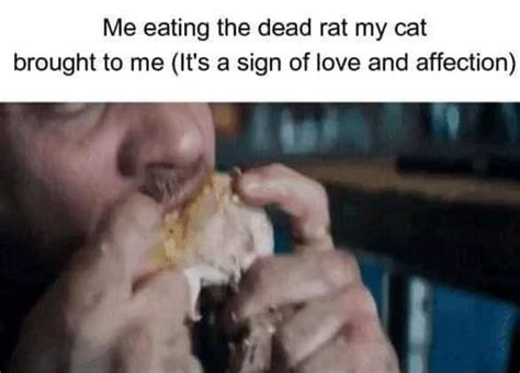 Me Eating The Dead Rat My Cat Brought To Me It S A Sign Of Love And