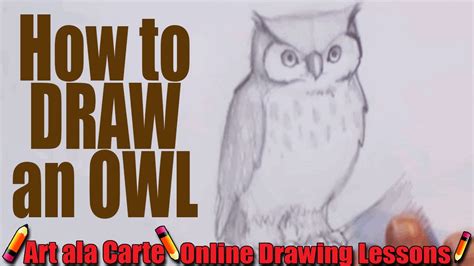 How To Draw An Owl Youtube